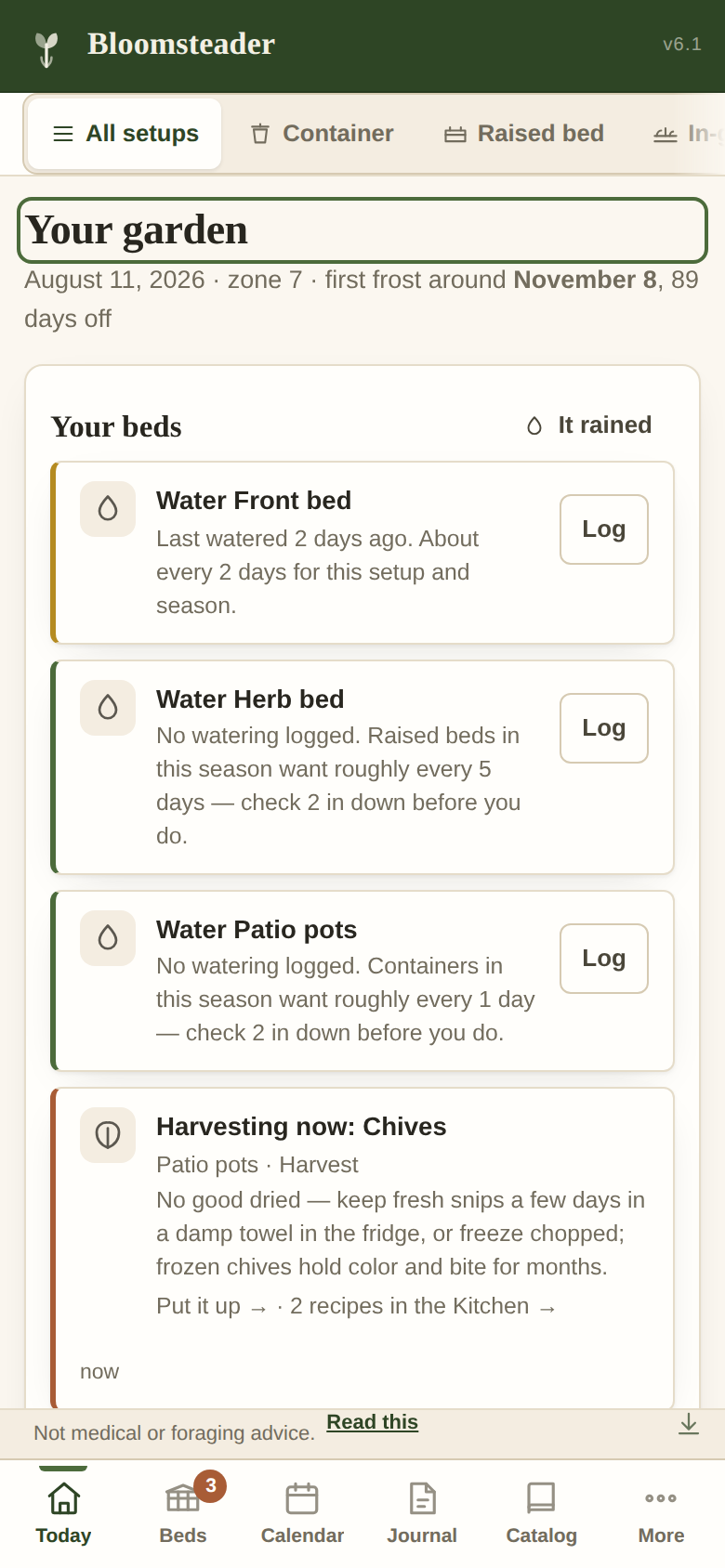 Bloomsteader on a phone: the Today view listing what can be sown now, with a bottom navigation bar.